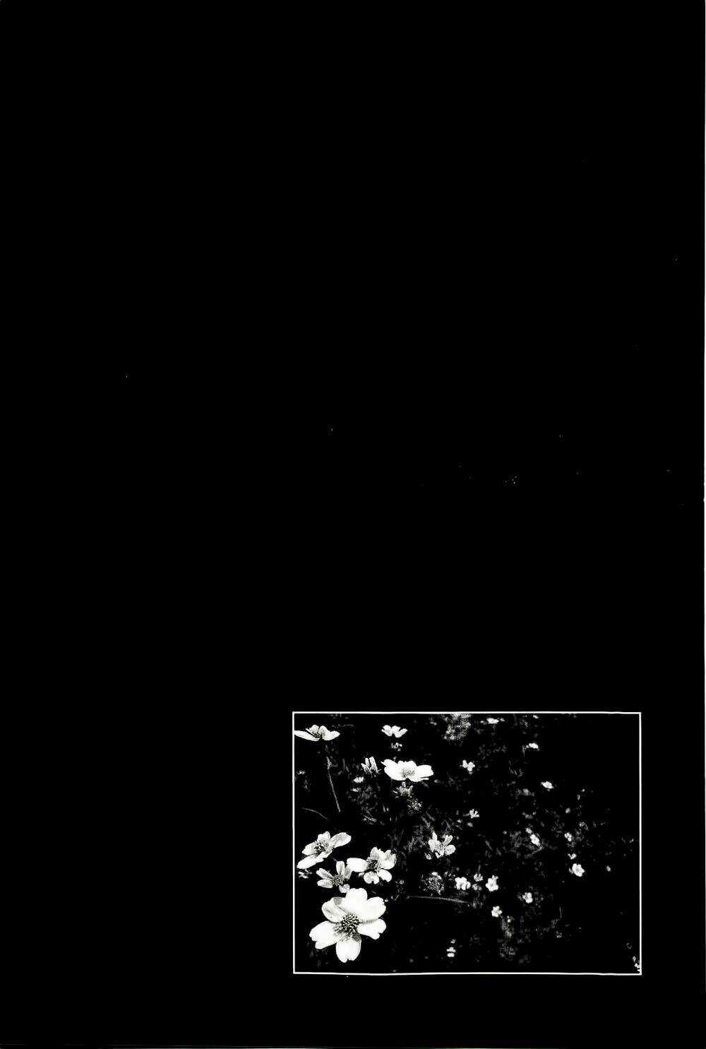 1/11 Chapter 3 trang 77