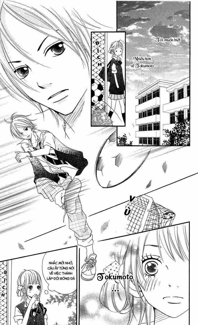 1/3 Romantica Chapter 1 trang 14