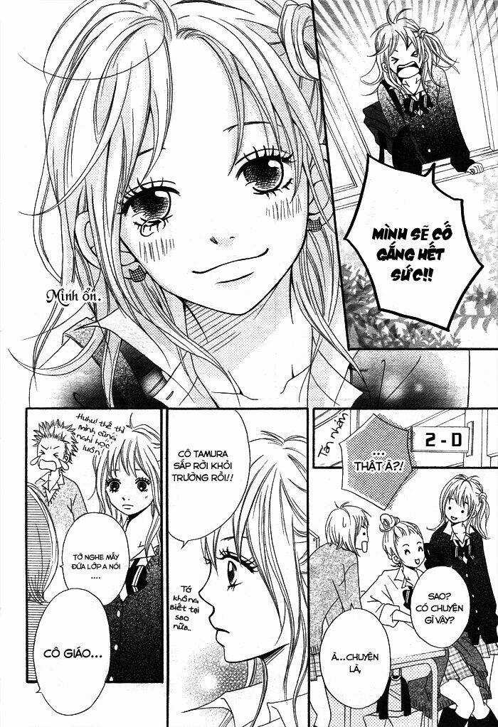 1/3 Romantica Chapter 3 trang 5