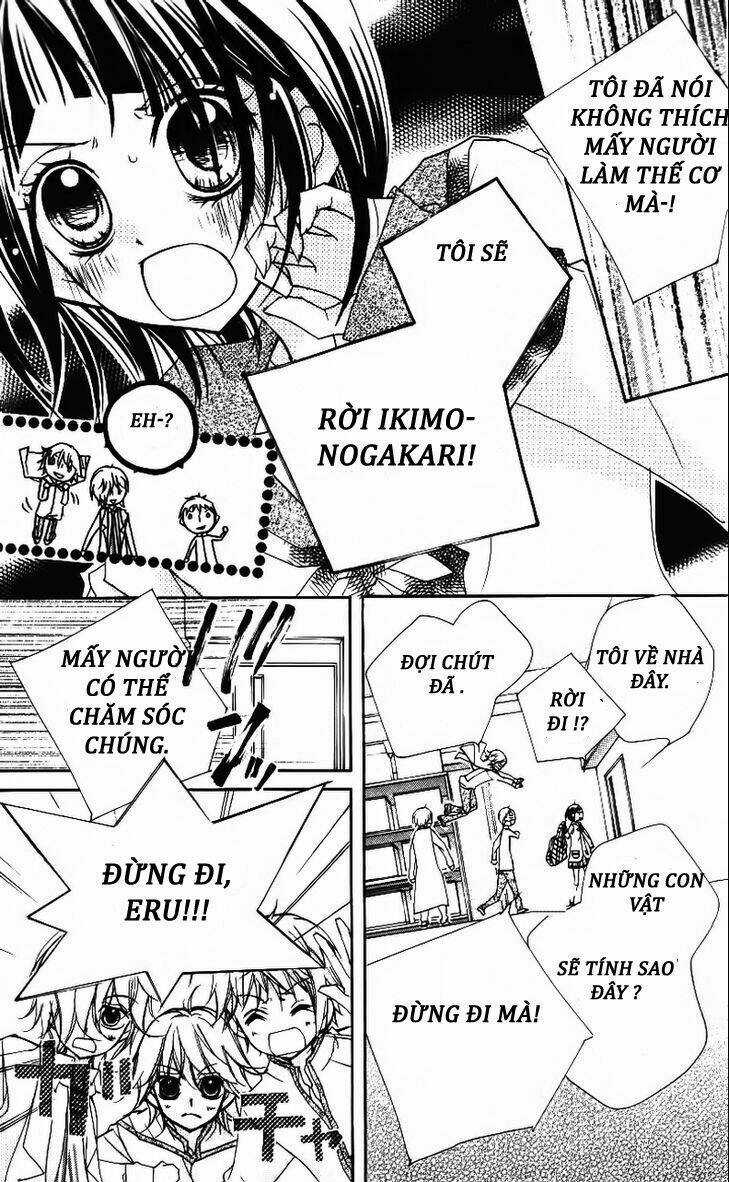 1-nen 5-kumi Ikimono Gakari Chapter 4 trang 5