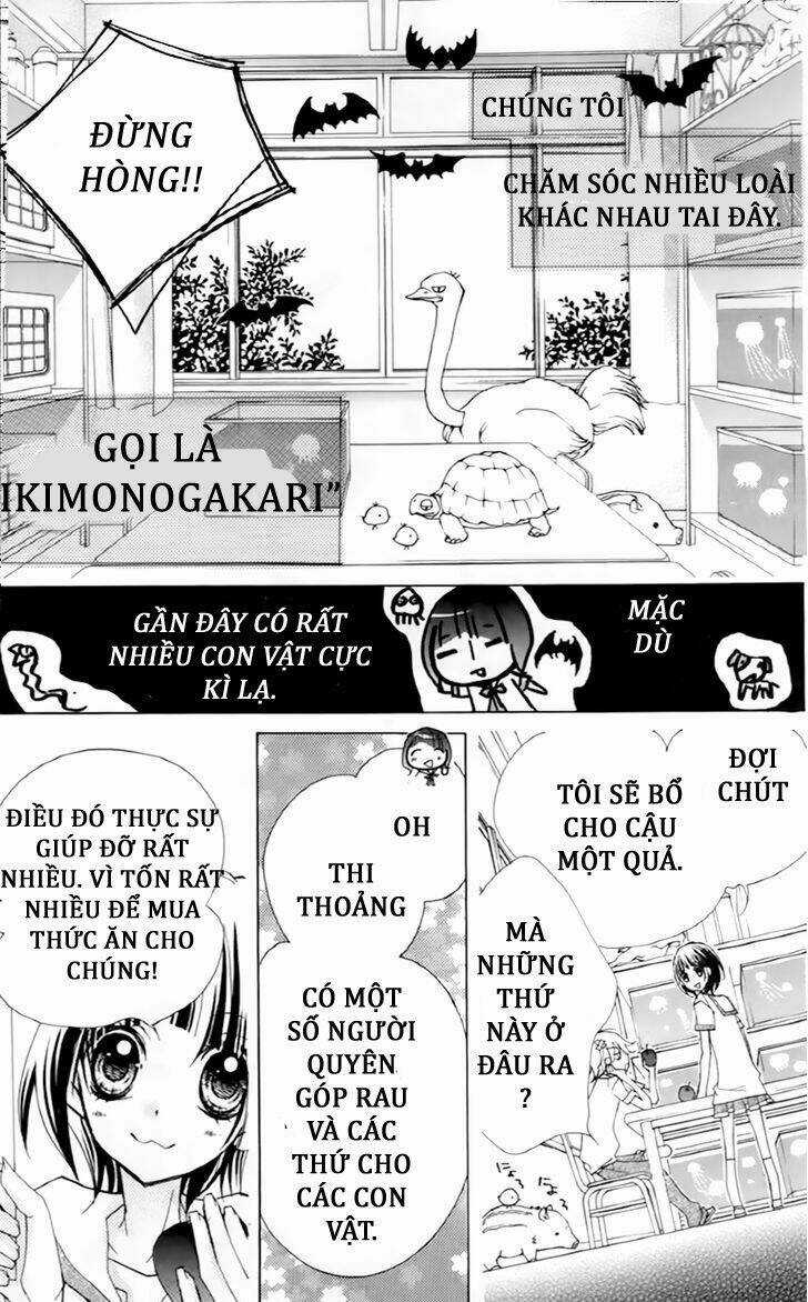 1-nen 5-kumi Ikimono Gakari Chapter 7 trang 3