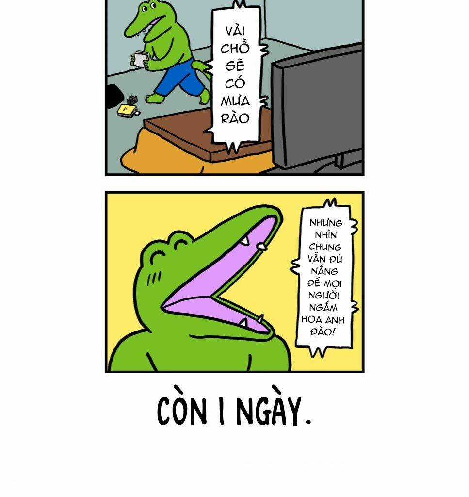 100 Nichigo Ni Shinu Wani Chapter 99 trang 3