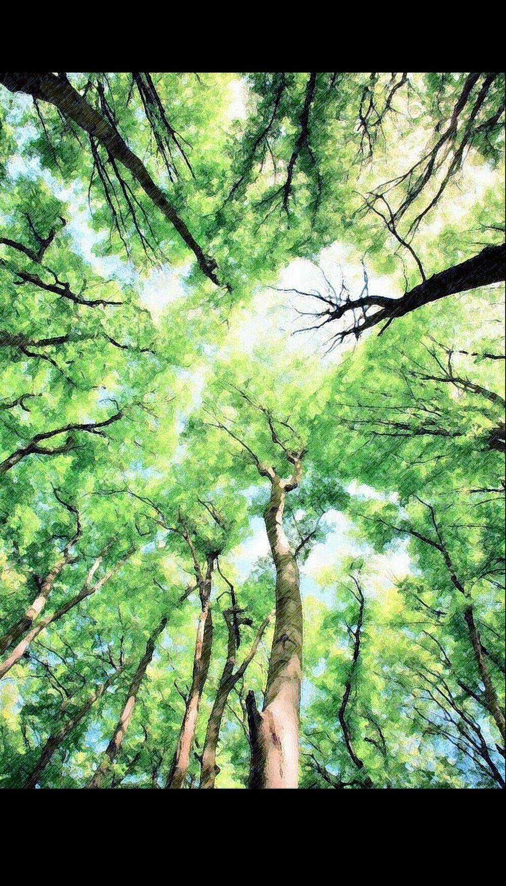 1000 Đêm Kinh Hoàng Chapter 2 trang 16