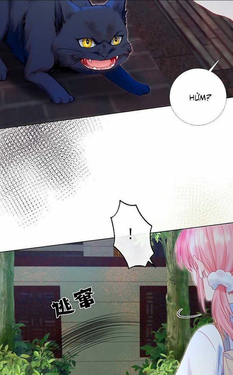 1001 Cách Chinh Phục Chồng Yêu Chapter 15 trang 69