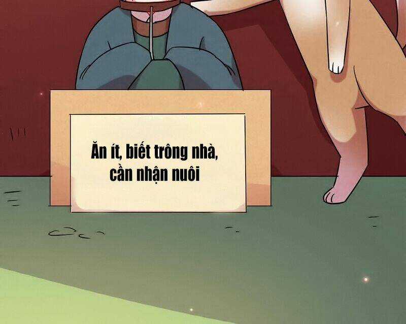 101 Mỹ Nam Của Vương Phi Béo Phì Chapter 19 trang 14