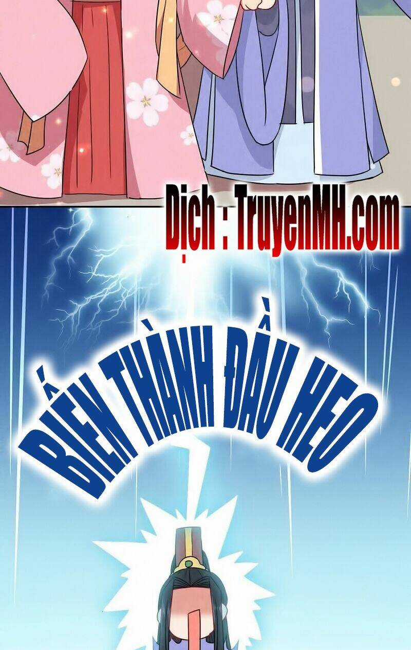 101 Mỹ Nam Của Vương Phi Béo Phì Chapter 25 trang 9