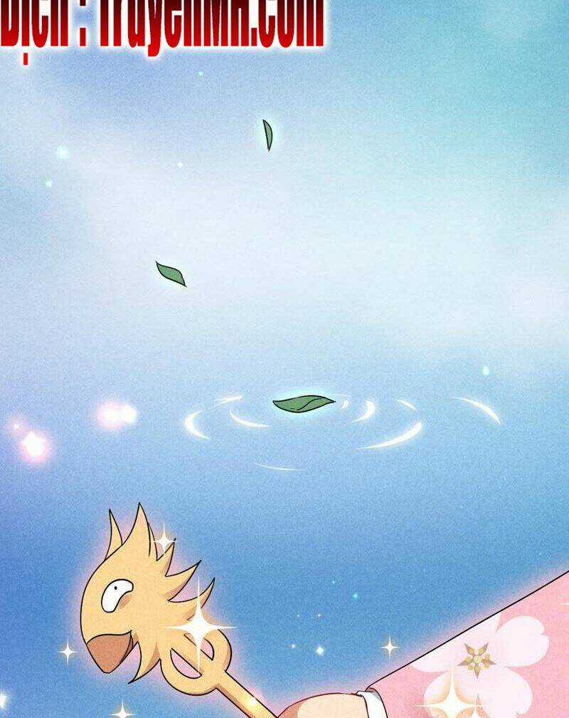 101 Mỹ Nam Của Vương Phi Béo Phì Chapter 29 trang 16