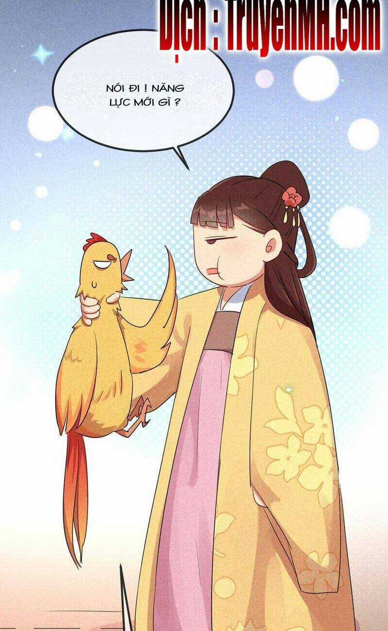 101 Mỹ Nam Của Vương Phi Béo Phì Chapter 35 trang 17