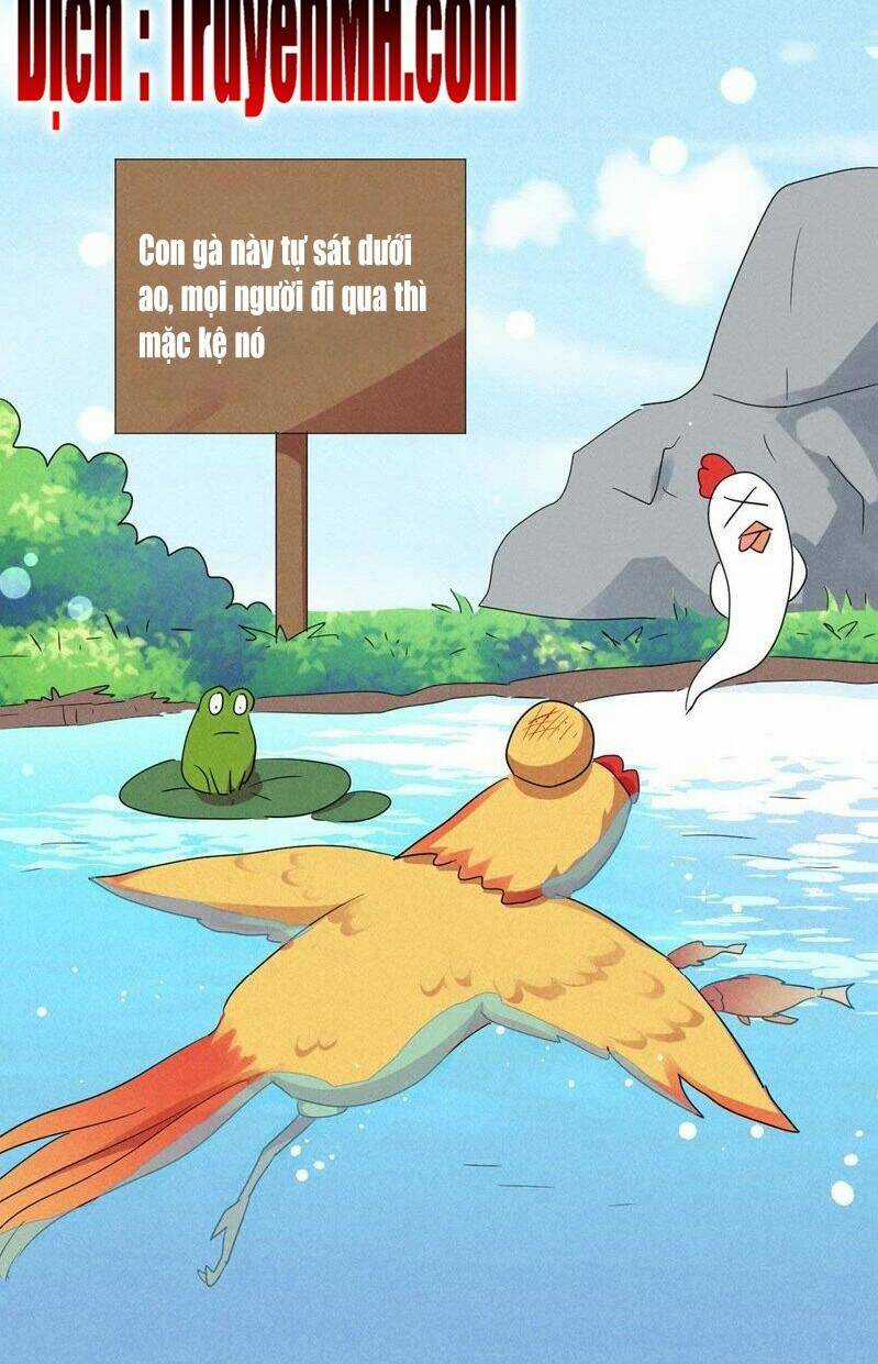 101 Mỹ Nam Của Vương Phi Béo Phì Chapter 36 trang 18