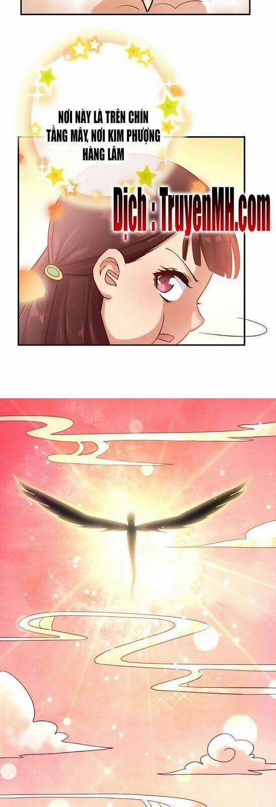 101 Mỹ Nam Của Vương Phi Béo Phì Chapter 7 trang 8