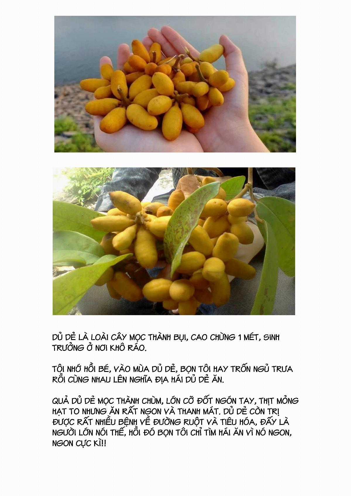 13 Giờ Sáng (truyện VN) Chapter 4 trang 21