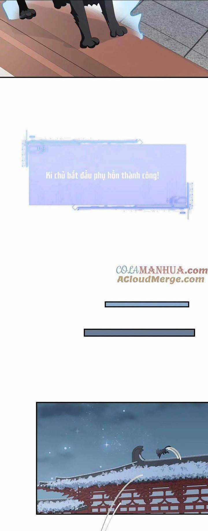 3 KIẾP XUI XẺO, KIẾP NÀY CÙNG TA THẦN KINH Chapter 160 trang 12