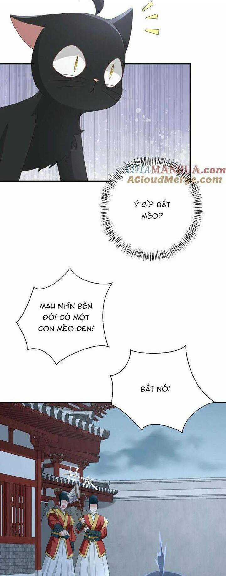 3 KIẾP XUI XẺO, KIẾP NÀY CÙNG TA THẦN KINH Chapter 160 trang 15