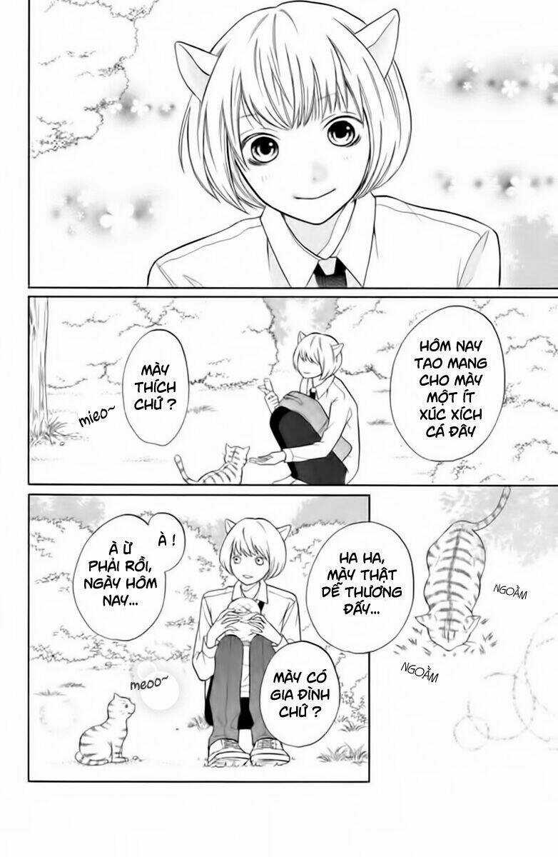 3D Kanojo - Bạn Gái 3D Chapter 11.5 trang 5