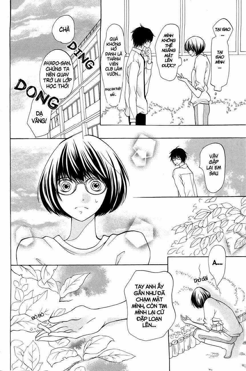 3D Kanojo - Bạn Gái 3D Chapter 13 trang 8