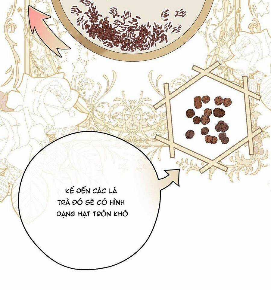 50 Công Thức Pha Trà Của Nữ Công Tước Chapter 119 trang 13