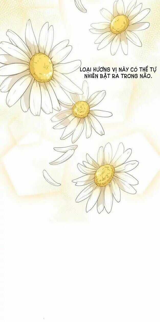 50 Công Thức Pha Trà Của Nữ Công Tước Chapter 12 trang 15