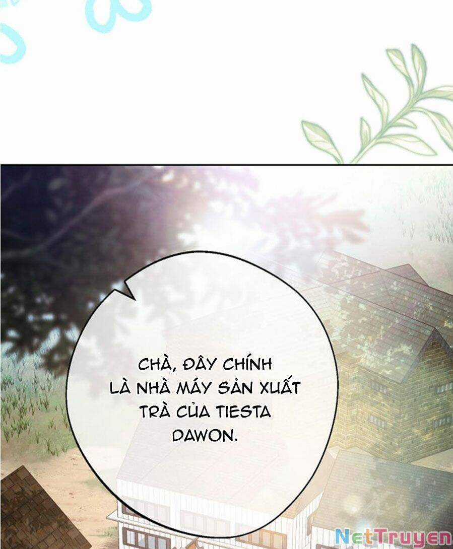 50 Công Thức Pha Trà Của Nữ Công Tước Chapter 129 trang 25