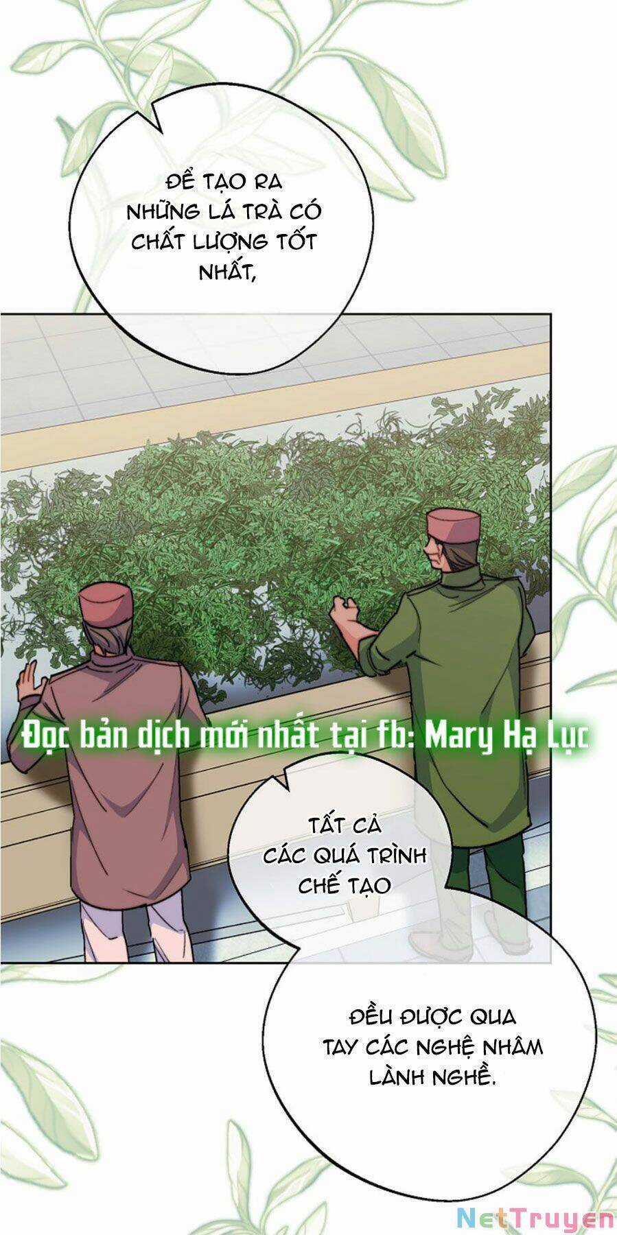 50 Công Thức Pha Trà Của Nữ Công Tước Chapter 129 trang 27