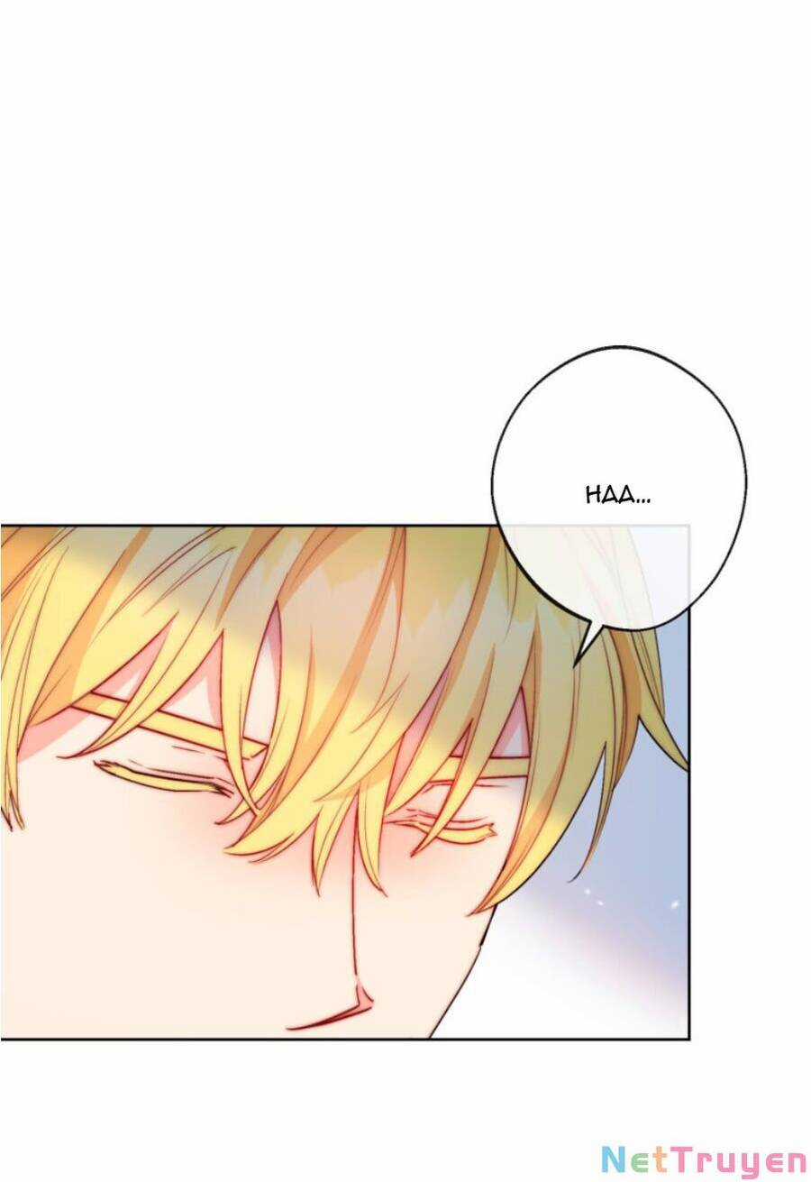 50 Công Thức Pha Trà Của Nữ Công Tước Chapter 130 trang 65