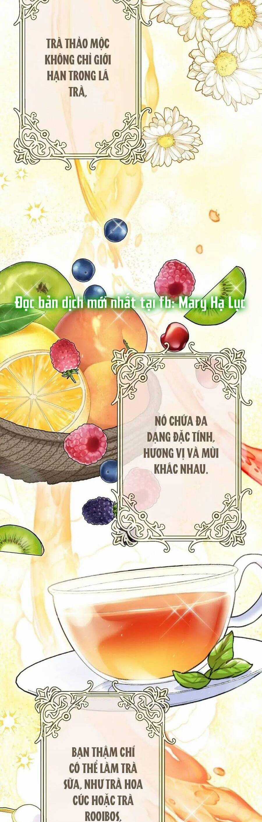 50 Công Thức Pha Trà Của Nữ Công Tước Chapter 137 trang 14