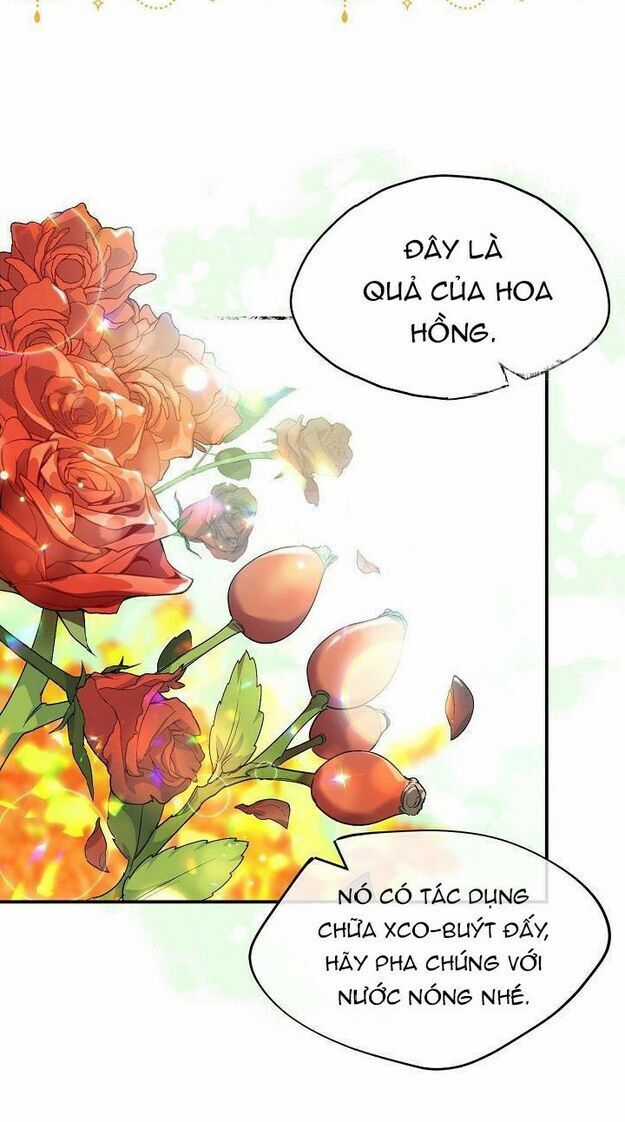 50 Công Thức Pha Trà Của Nữ Công Tước Chapter 62 trang 4