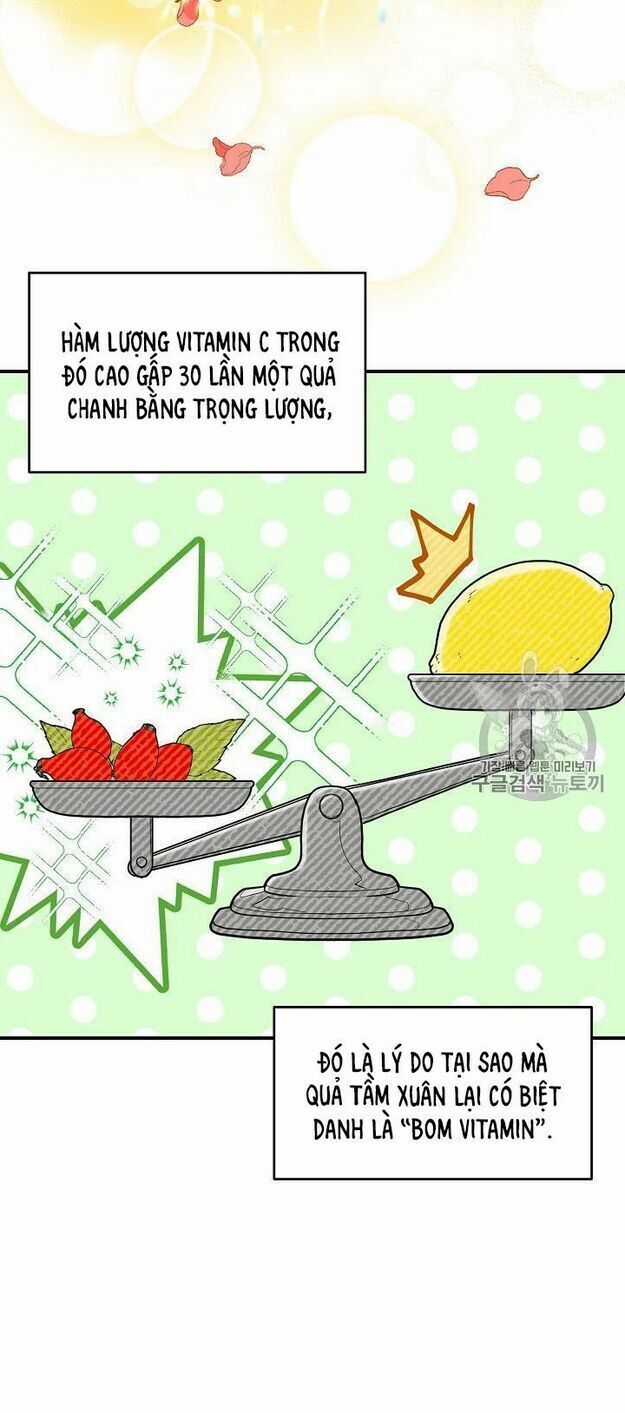 50 Công Thức Pha Trà Của Nữ Công Tước Chapter 62 trang 7