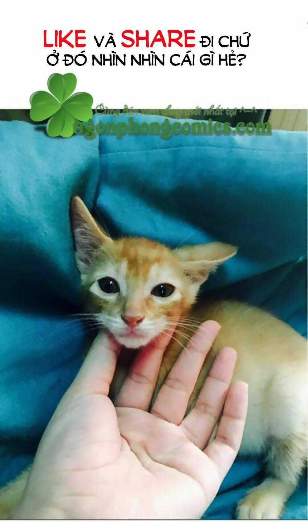 6 Giờ Ký Ức Chapter 5 trang 12