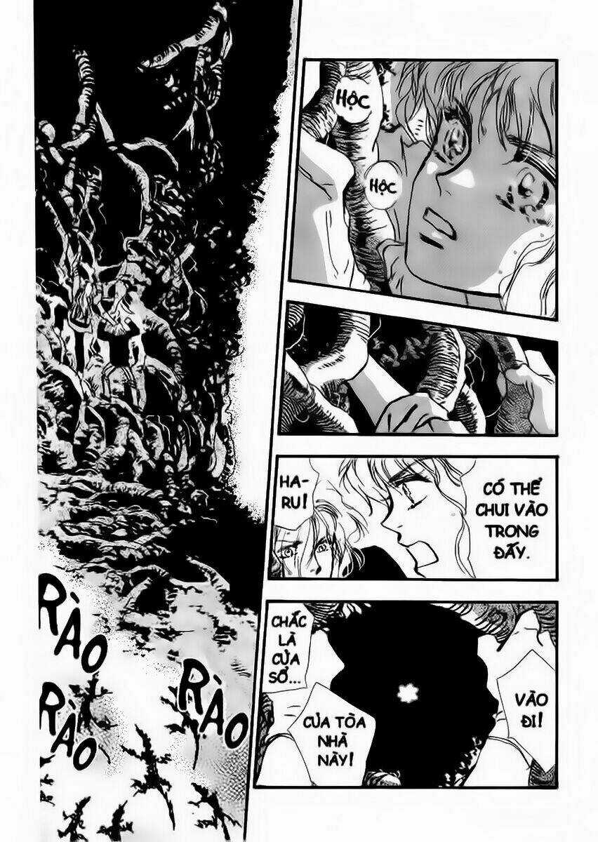 7 Mầm sống Chapter 13 trang 19