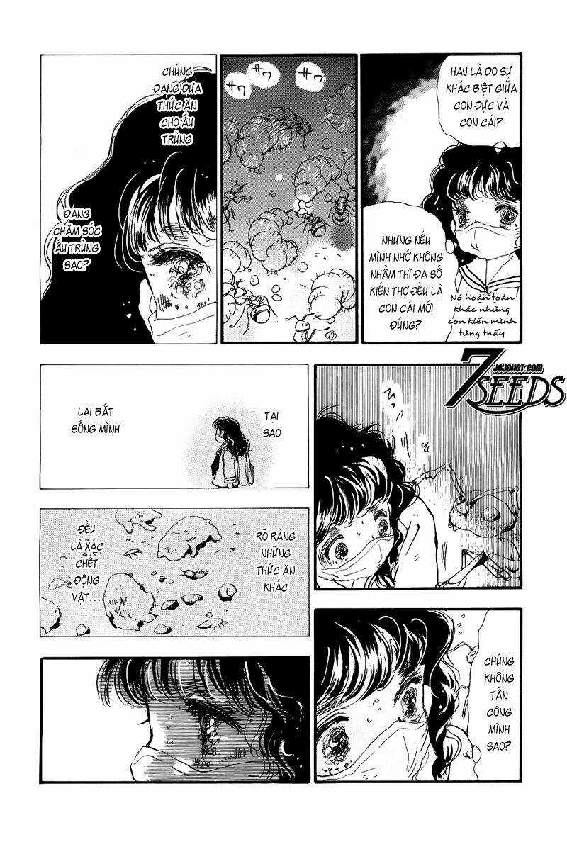 7 Mầm sống Chapter 132 trang 5