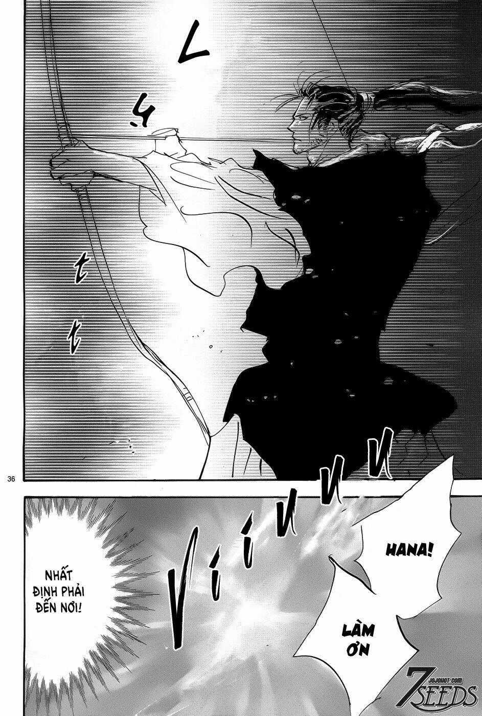 7 Mầm sống Chapter 164 trang 36