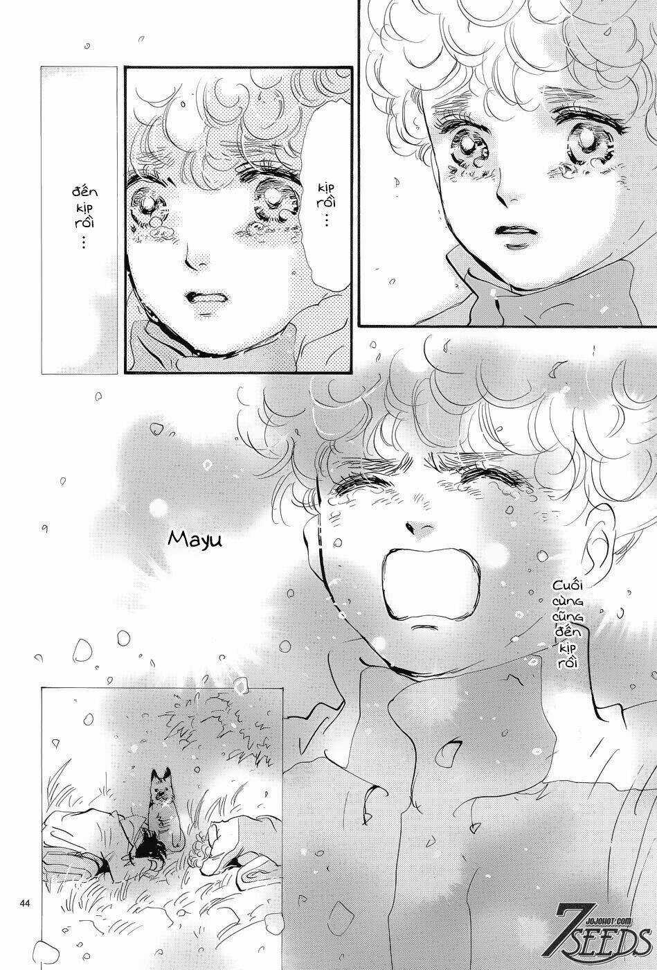 7 Mầm sống Chapter 178 trang 44