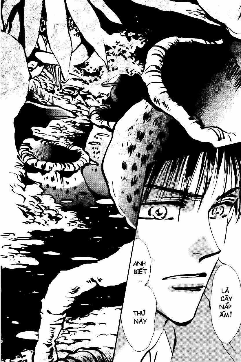 7 Mầm sống Chapter 4 trang 17