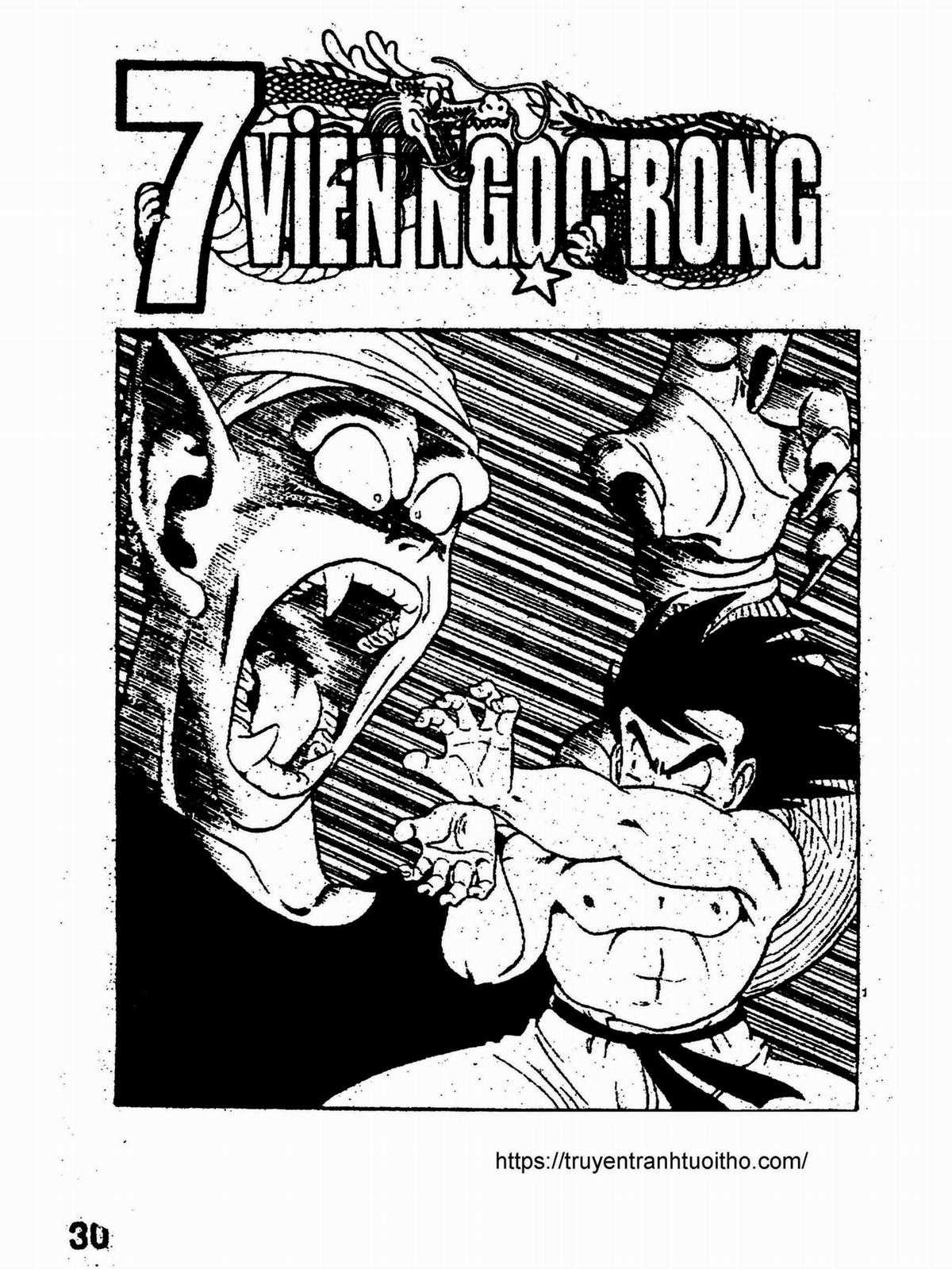 7 Viên Bi Rồng Chapter 24 trang 30