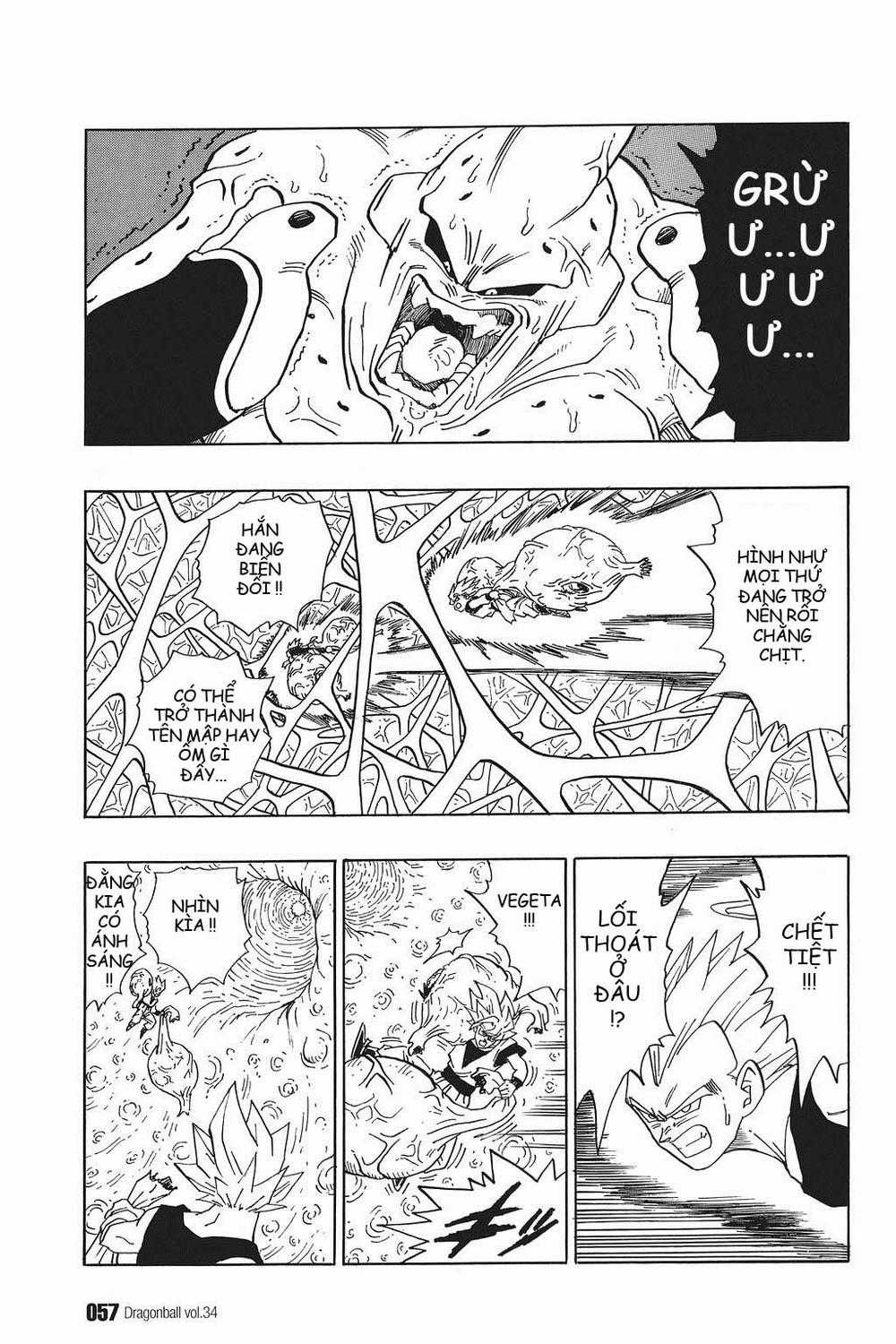 7 Viên Ngọc Rồng Chapter 507 trang 12