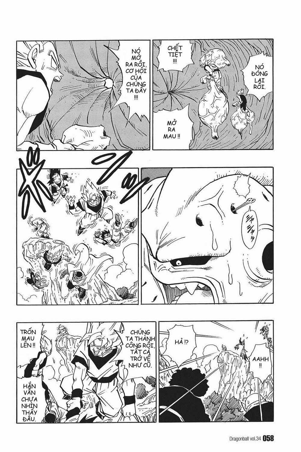 7 Viên Ngọc Rồng Chapter 507 trang 13