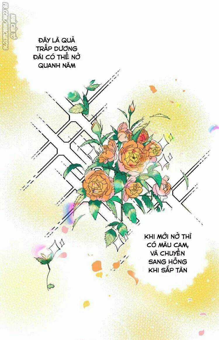 99 Độ F - Talk To Me Chapter 19 trang 11