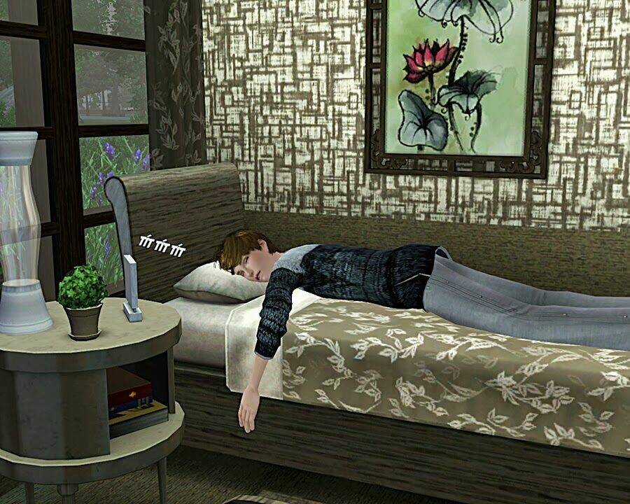 A Love Story [Truyện Sims 3] Chapter 2.5 trang 3