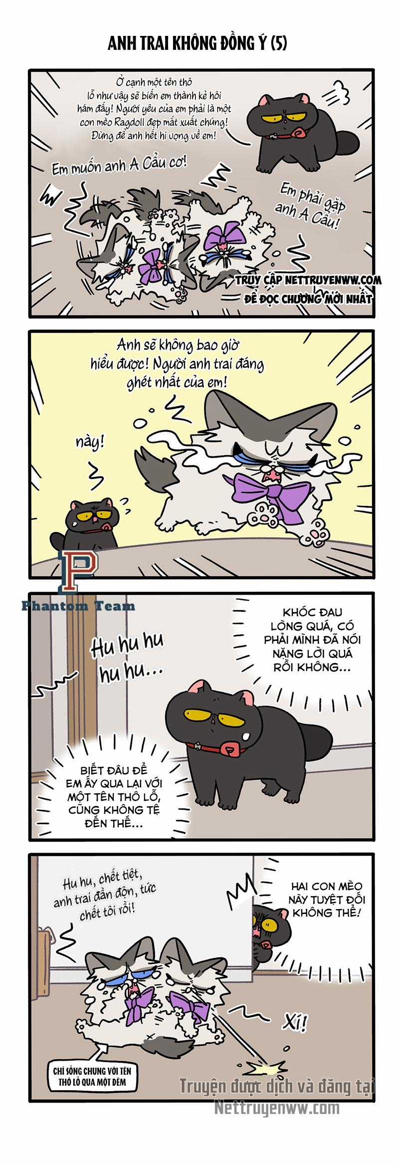 A Mãn Và Mạch Trà Chapter 101.1 trang 1