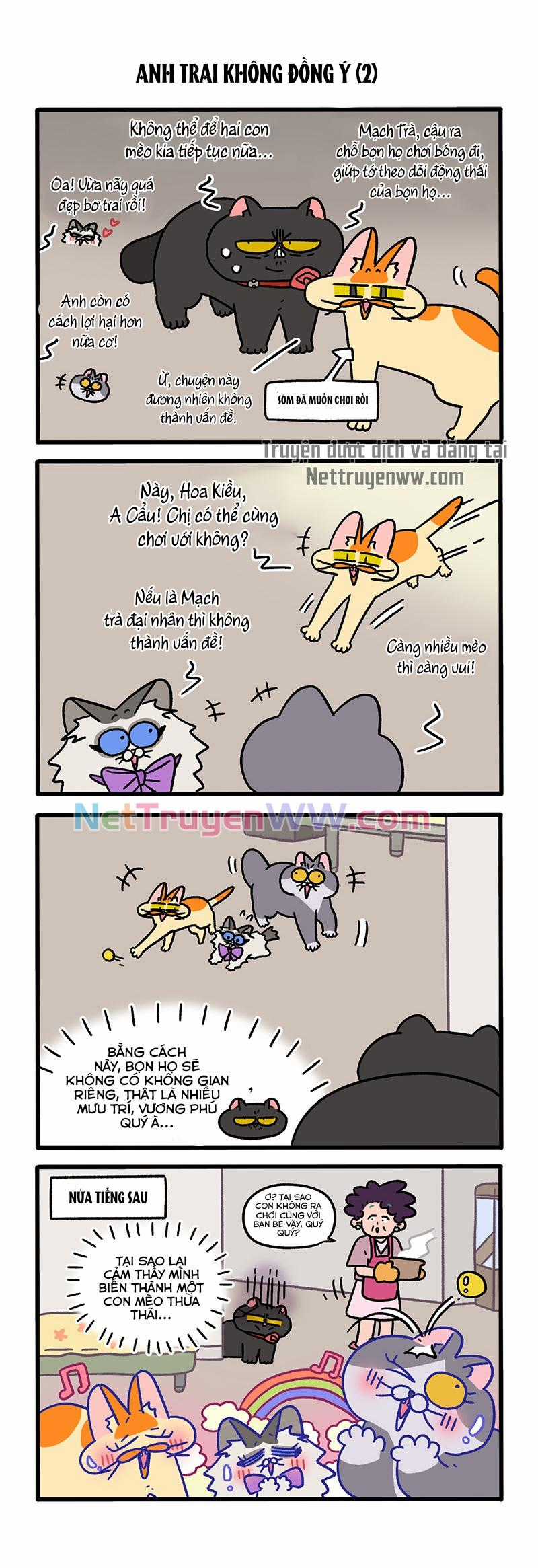 A Mãn Và Mạch Trà Chapter 101 trang 1