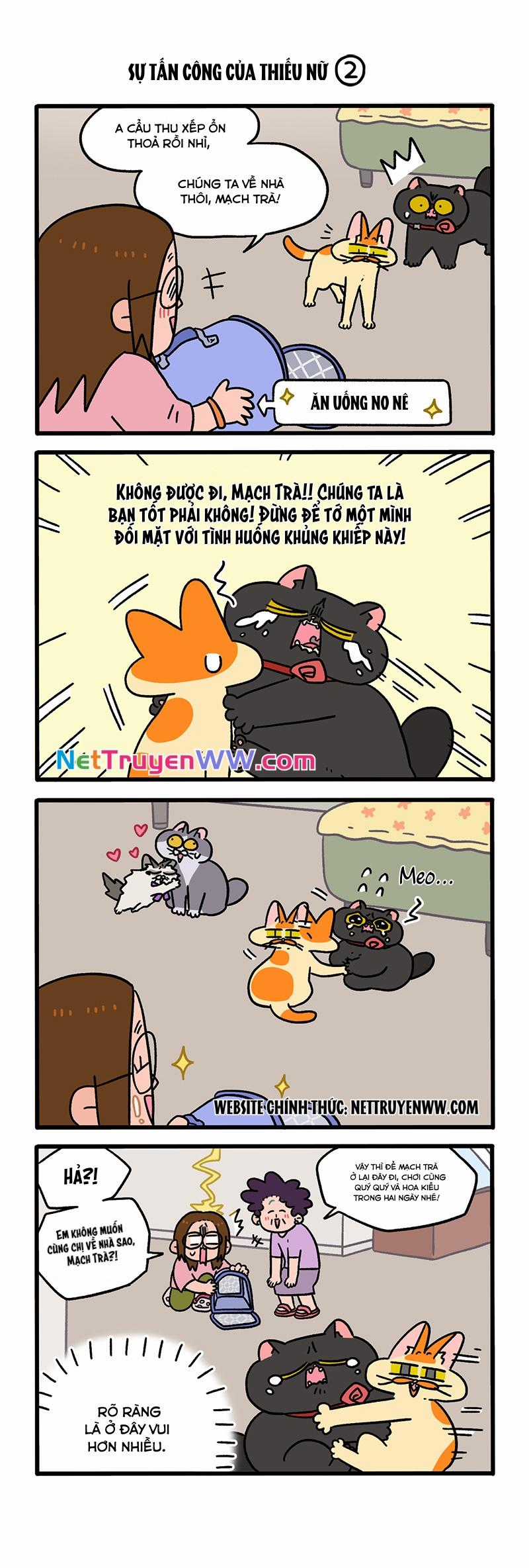 A Mãn Và Mạch Trà Chapter 102 trang 1