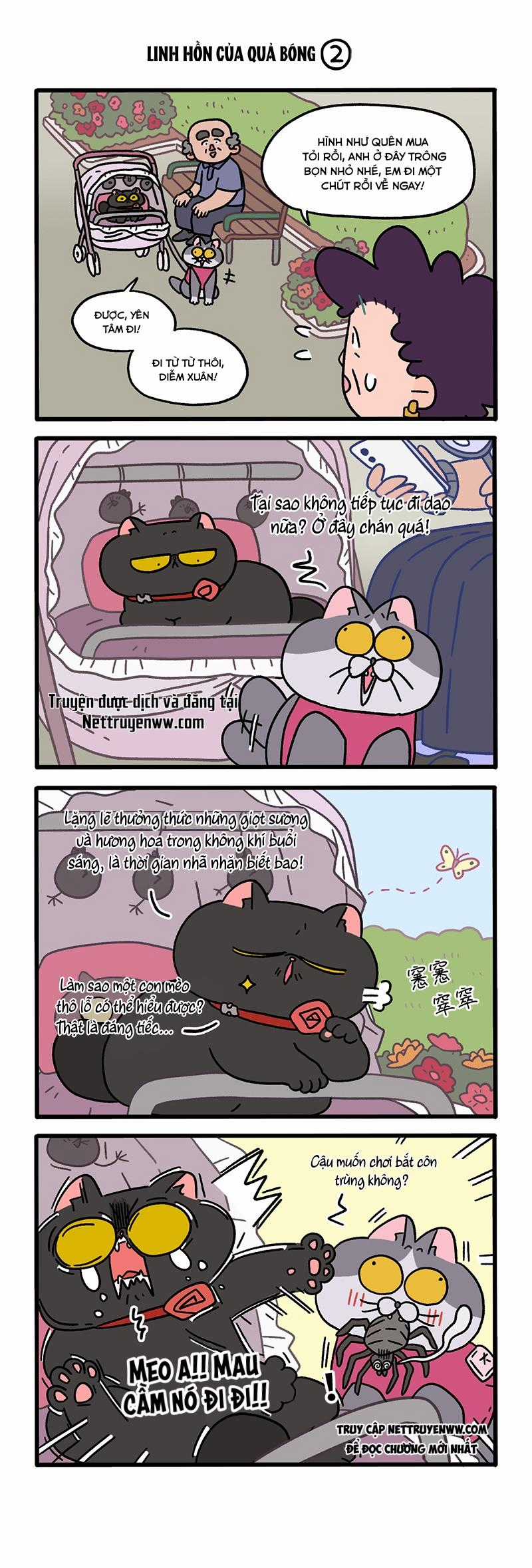 A Mãn Và Mạch Trà Chapter 103 trang 1