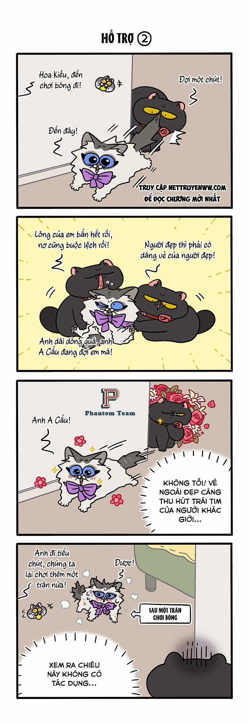 A Mãn Và Mạch Trà Chapter 106 trang 1
