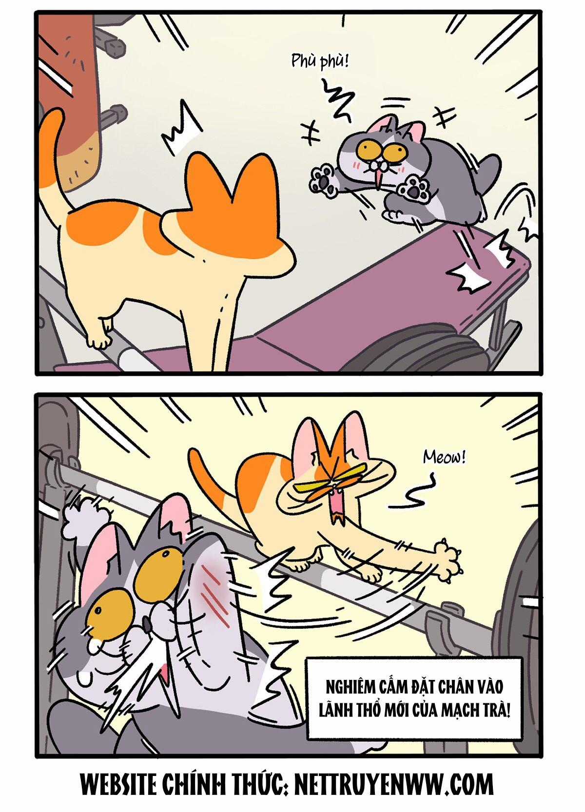 A Mãn Và Mạch Trà Chapter 120.1 trang 1
