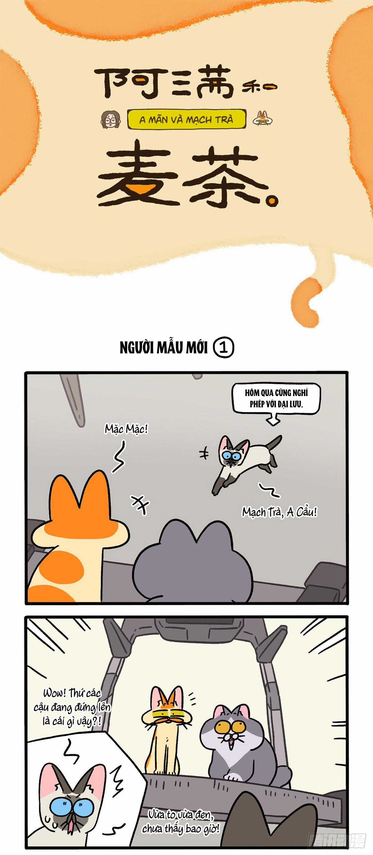 A Mãn Và Mạch Trà Chapter 121 trang 0