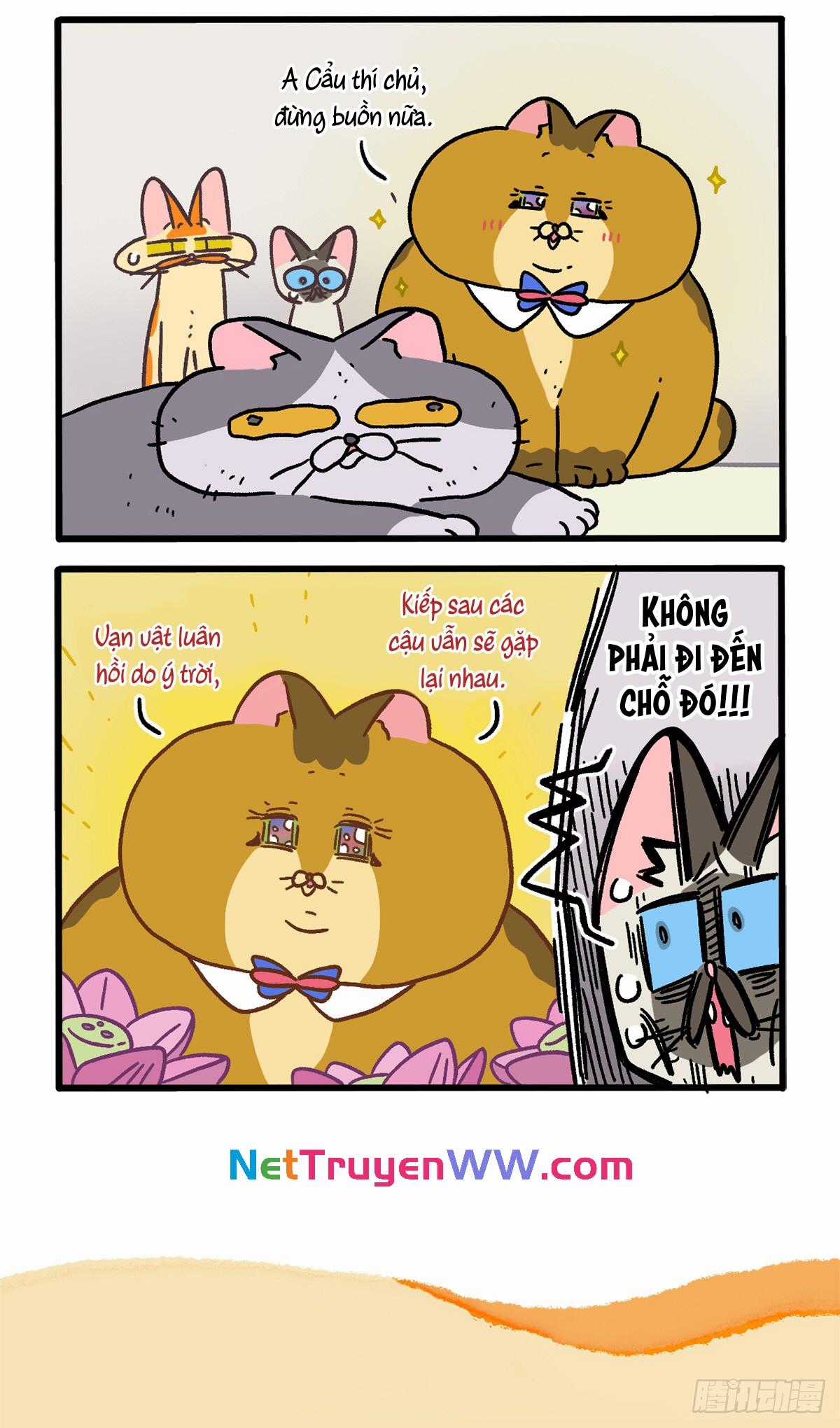A Mãn Và Mạch Trà Chapter 131 trang 5