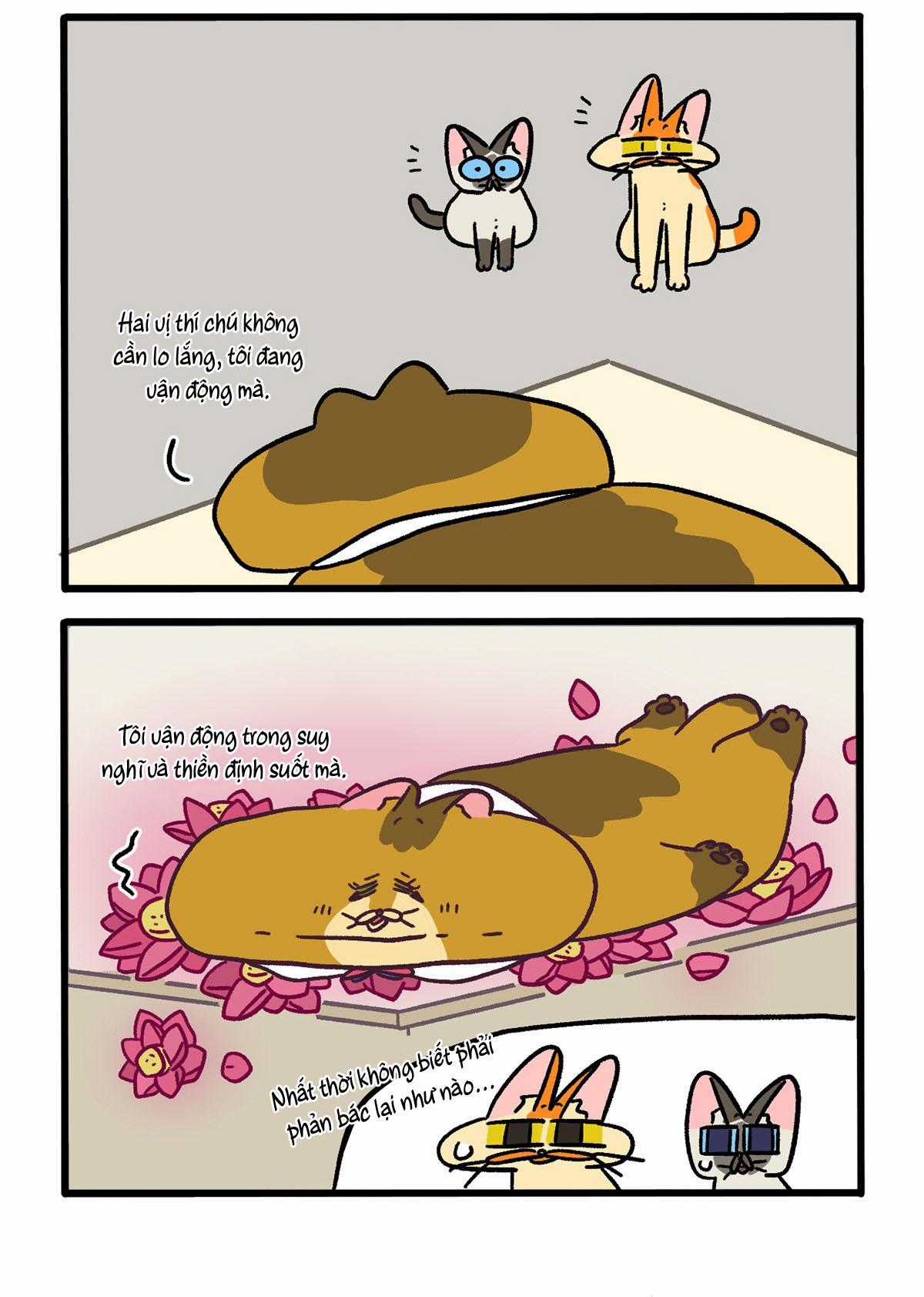 A Mãn Và Mạch Trà Chapter 134.1 trang 1