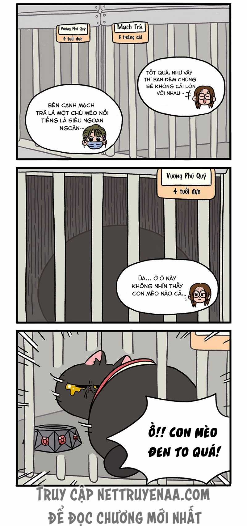 A Mãn Và Mạch Trà Chapter 14 trang 1