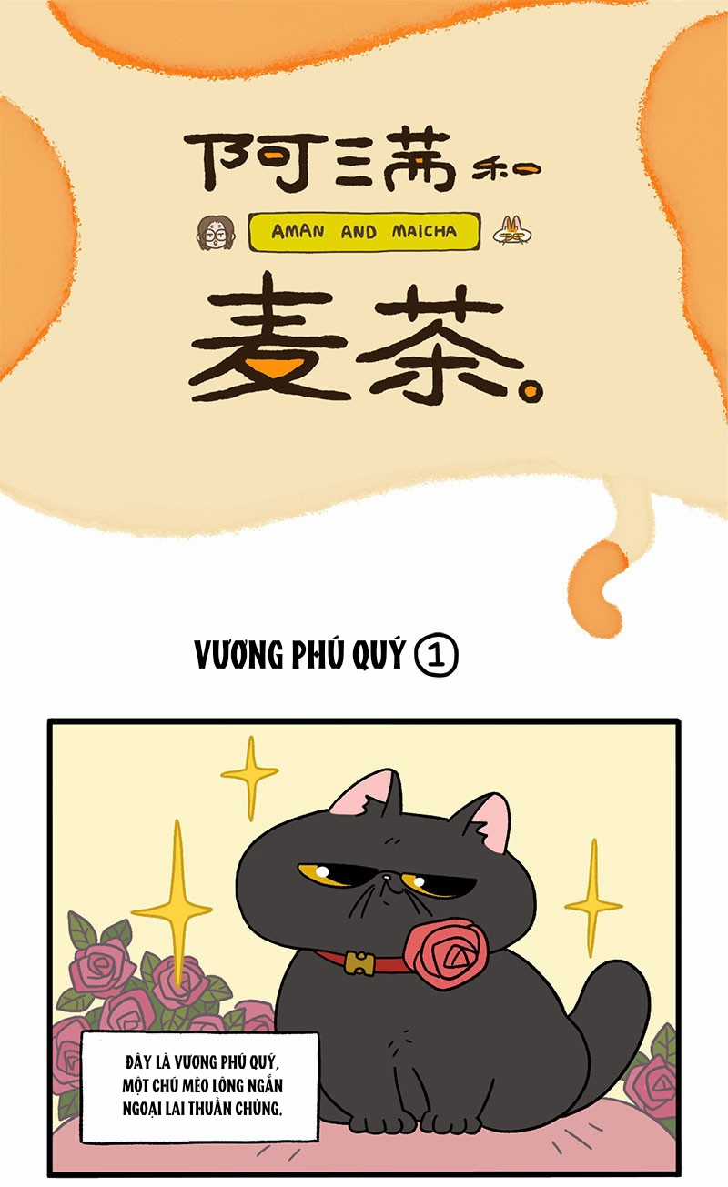 A Mãn Và Mạch Trà Chapter 15 trang 0