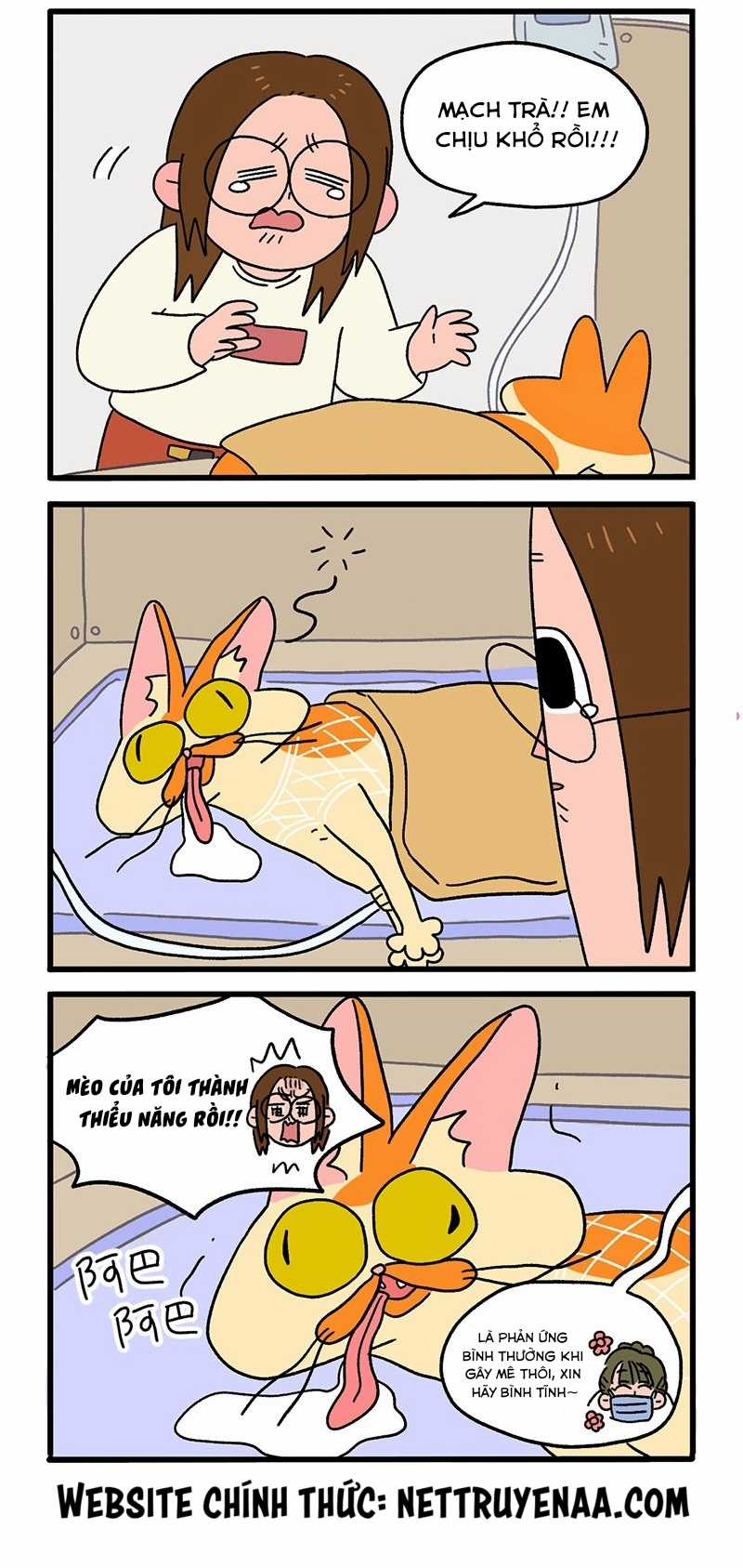 A Mãn Và Mạch Trà Chapter 17 trang 1